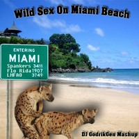 Sex on the beach mp3 images 40